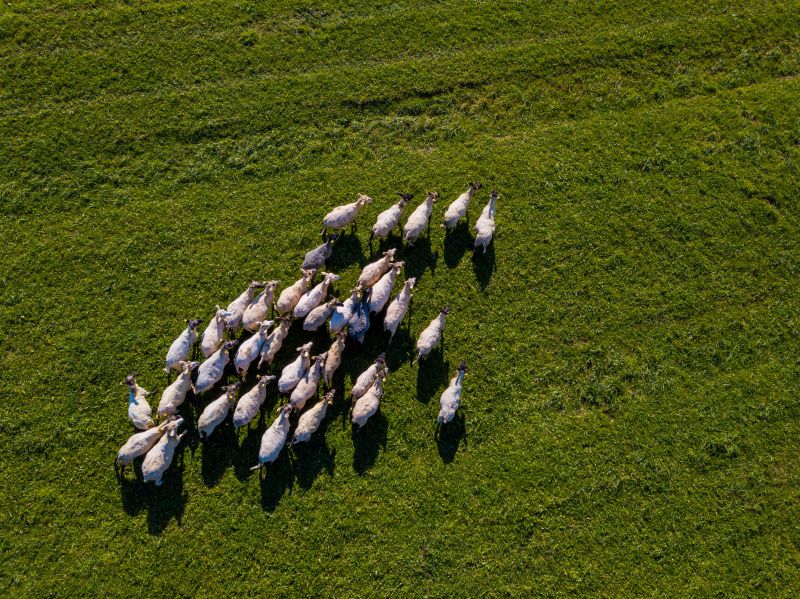 ORAVSKÝ HÁJ GARDEN HOTEL & RESORT