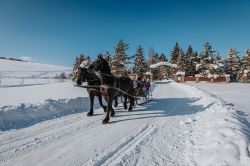 ORAVSKÝ HÁJ GARDEN HOTEL & RESORT