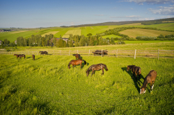 Letný pobytový balík s polpenziou, neobmedzeným vstupom do wellness a deťmi GRÁTIS