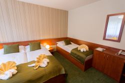 Hotel BYSTRINA***