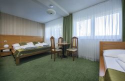Hotel BYSTRINA***