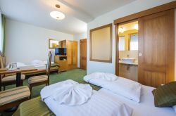 Hotel BYSTRINA***