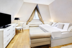 Historic attic room - Hotel Lomnica*****