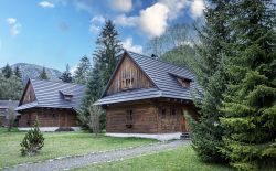 Wooden cabin Liptovský Ján 2019 - api1